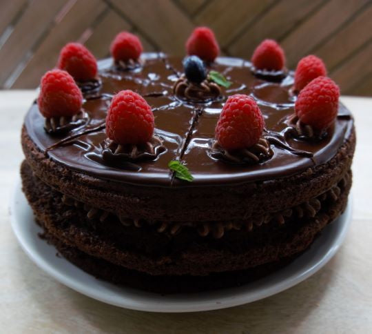 Plant Based Double Chocolate Cake